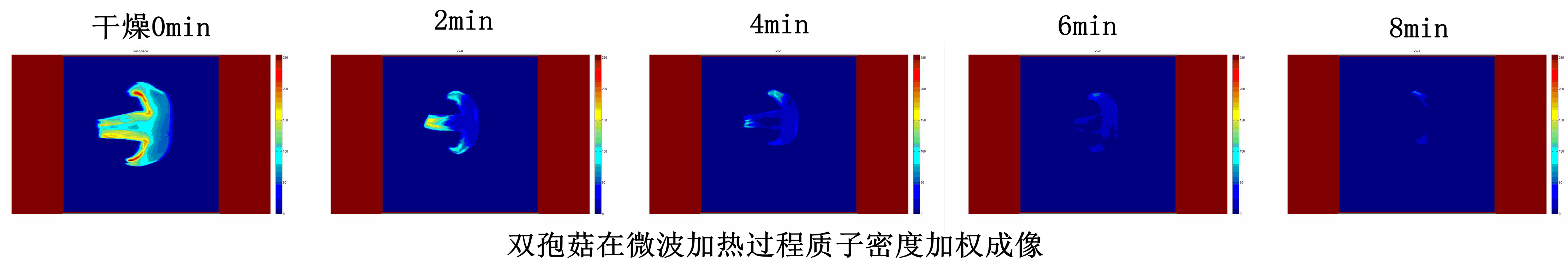 核磁共振在食品领域部分案例分享【一】