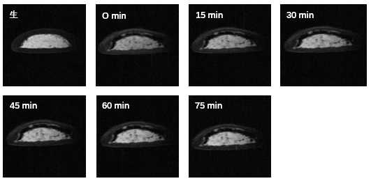 核磁共振在食品领域部分案例分享【一】
